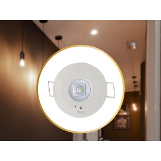 NEDES - LED nouzové svítidlo 1,2W /3h / IP20 - LEL501