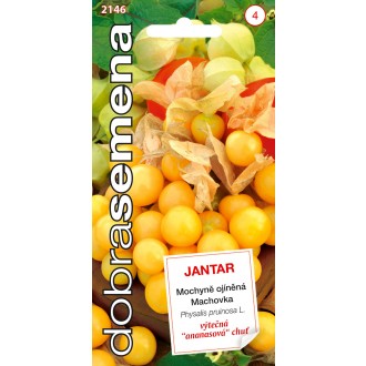 Dobrá semena Mochyně ojíněná - Jantar ananasová 0,2g