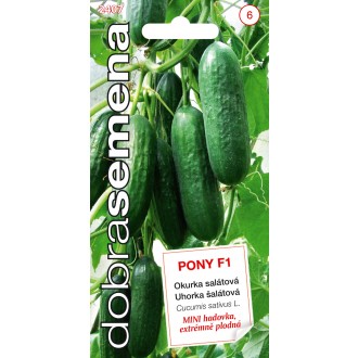 Dobrá semena Okurka sklen. - Pony F1 MINI 10s