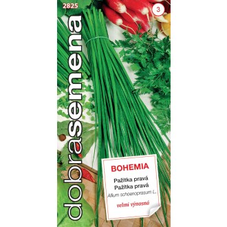 Dobrá semena Pažitka - Bohemia 2g