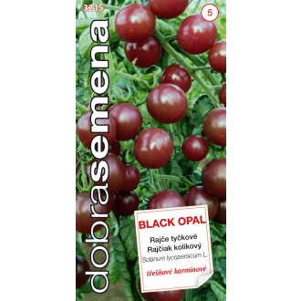 Dobrá semena Rajče tyč. třešňové - Black Opal 10s