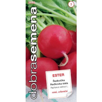 Dobrá semena Ředkvička červ. - Ester raná 3g
