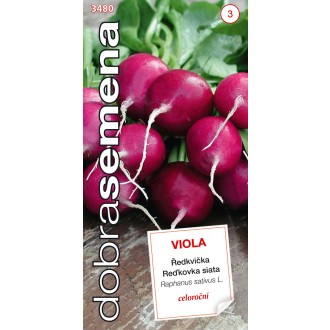 Dobrá semena Ředkvička fialová - Viola celoroční 4g