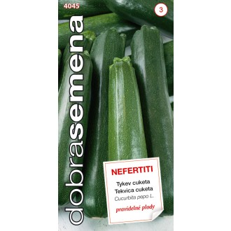 Dobrá semena Tykev cuketa - Nefertiti zelená 1,5g
