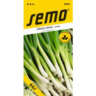 Cibule sečka - Kaj zimní, celoročně pro nať 1,8g