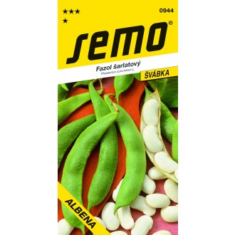 Fazol tyč. bílý - Albena 10s