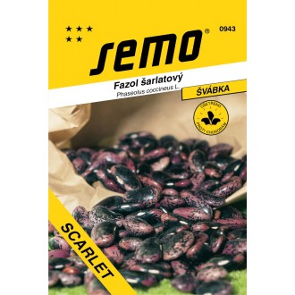 Fazol tyč. zelený - Scarlet 35g