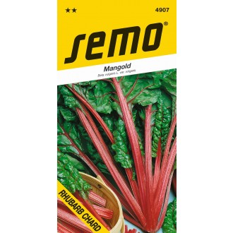 Mangold - Rhubard Chard zelený 3g