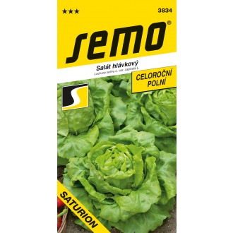 Salát celoroční - Saturion (SA-MET) polní PROFI - velká hlávka 0,6g
