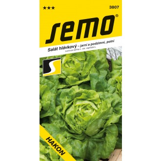 Salát jarní - Hakon (SM-HAK) PROFI polní 0,6g