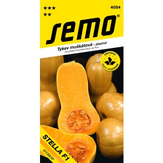 Tykev muškátová - Stella F1 (typ Butternut) konz.vař 2g