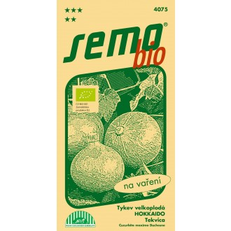 BIO Tykev plazivá - Hokkaido Orange 10s