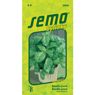 Bazalka pravá - Lettuce Leaf (salátová) 1g