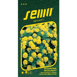 Aksamitník rozkladitý - Lemon drop 1g