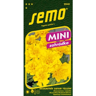 Aksamitník rozkladitý - Safari Yellow 30s - série MINI