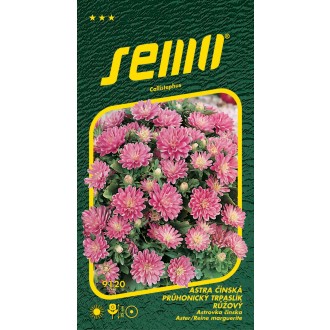 Astra čínská - Průhonický trpaslík růžový 0,3g
