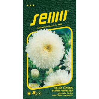 Astra čínská - Super princess bílá 0,5g