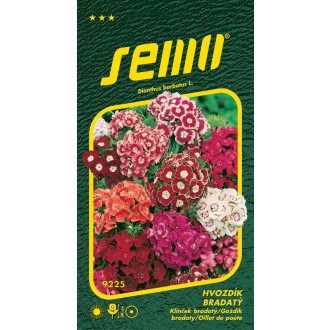 Hvozdík bradatý - jednoletá forma směs 0,3g