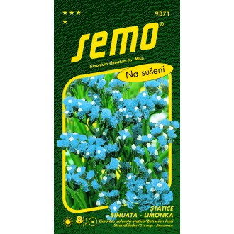 Limonka Statice sinuata - Blue (Sky Blue) modrá 0,5g