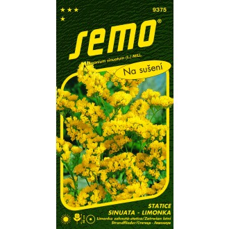 Limonka Statice sinuata - Gold Coast žlutá 0,5g