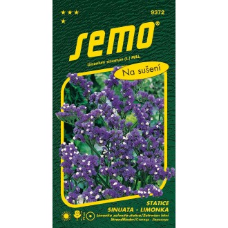 Limonka Statice sinuata - Kampfs Blue fialová 0,5g