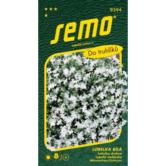 Lobelka kompaktní - bílá 0,25g