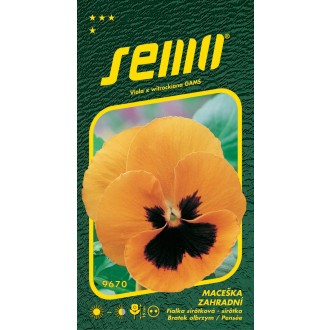 Maceška zahradní - oranžová s okem 0,3g