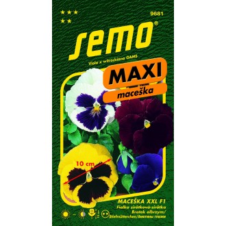 Maceška zahradní - XXL F1 15s - série MAXI
