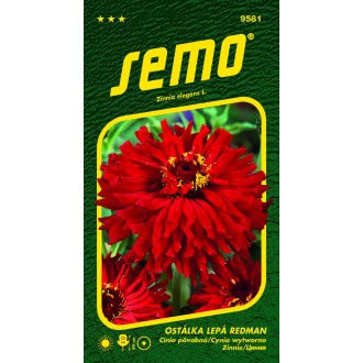 Ostálka lepá - Redman 0,7g