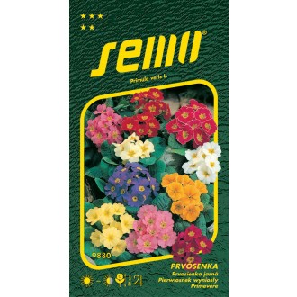 Prvosenka jarní - směs 0,2g