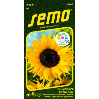 Slunečnice roční - Sun 2g - série KVĚTINY K ŘEZU
