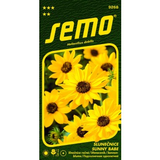 Slunečnice slabá - Sunny Babe 1,2g - série NEKTAR PÁRTY