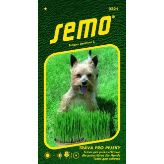 Tráva pro pejsky 10g