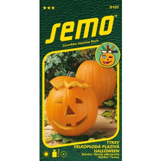 Tykev okrasná - Halloween 2g