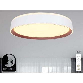NEDES LED stropní lampa OPAL + DO + OVLÁDÁNÍ HLASEM 48W - LC902MV