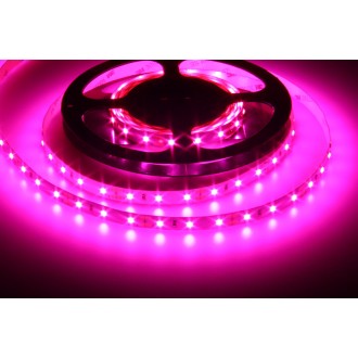 T-led LED pásek 12GROW 6012-FULL pro rostliny Varianta: LED pásek 12GROW 6012-FULL pro rostliny