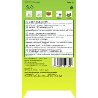 Zelseed Okurka salát. - Vanda F1 partenokarp. fol. sklen. 10s