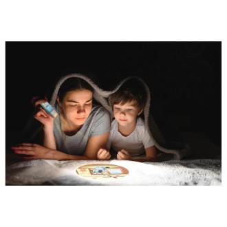 Baterka s projektorem - Bluey