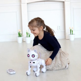 Chytrá robotická kočka Power Kitty