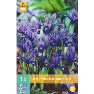 Karta - Kosatec - Iris Harmony (15 cibulí) "B"