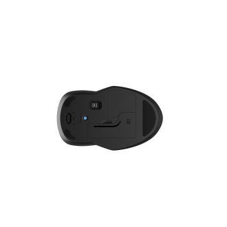 Bezdrátová myš HP 250 Dual, černá