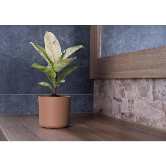 Obal Lora - mocha mousse 18 cm