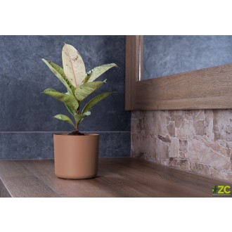 Obal Lora - mocha mousse 22 cm