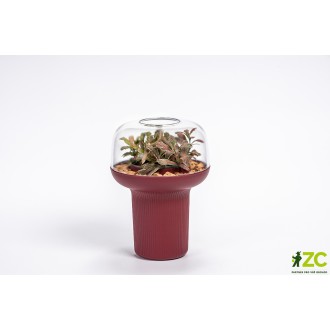 Humidárium - vínová 19  cm