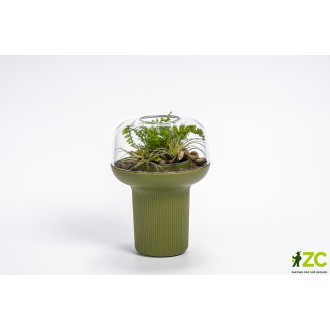 Humidárium - zelená 19  cm