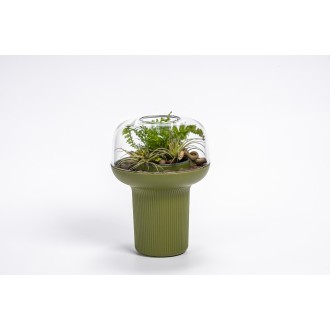 Humidárium - zelená 19  cm