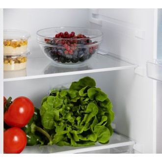 Lednice bez mrazáku - bílá - PRIMO PR180FR