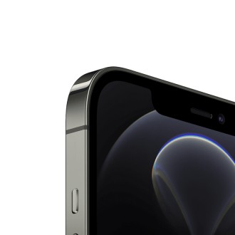 Mobilní telefon Apple iPhone 12 Pro 256GB Graphite