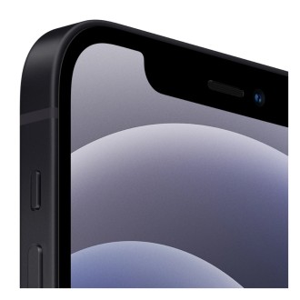 Mobilní telefon Apple iPhone 12 64GB Black