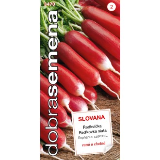 Dobrá semena Ředkvička čb. - Slovana rychl, raná 4g